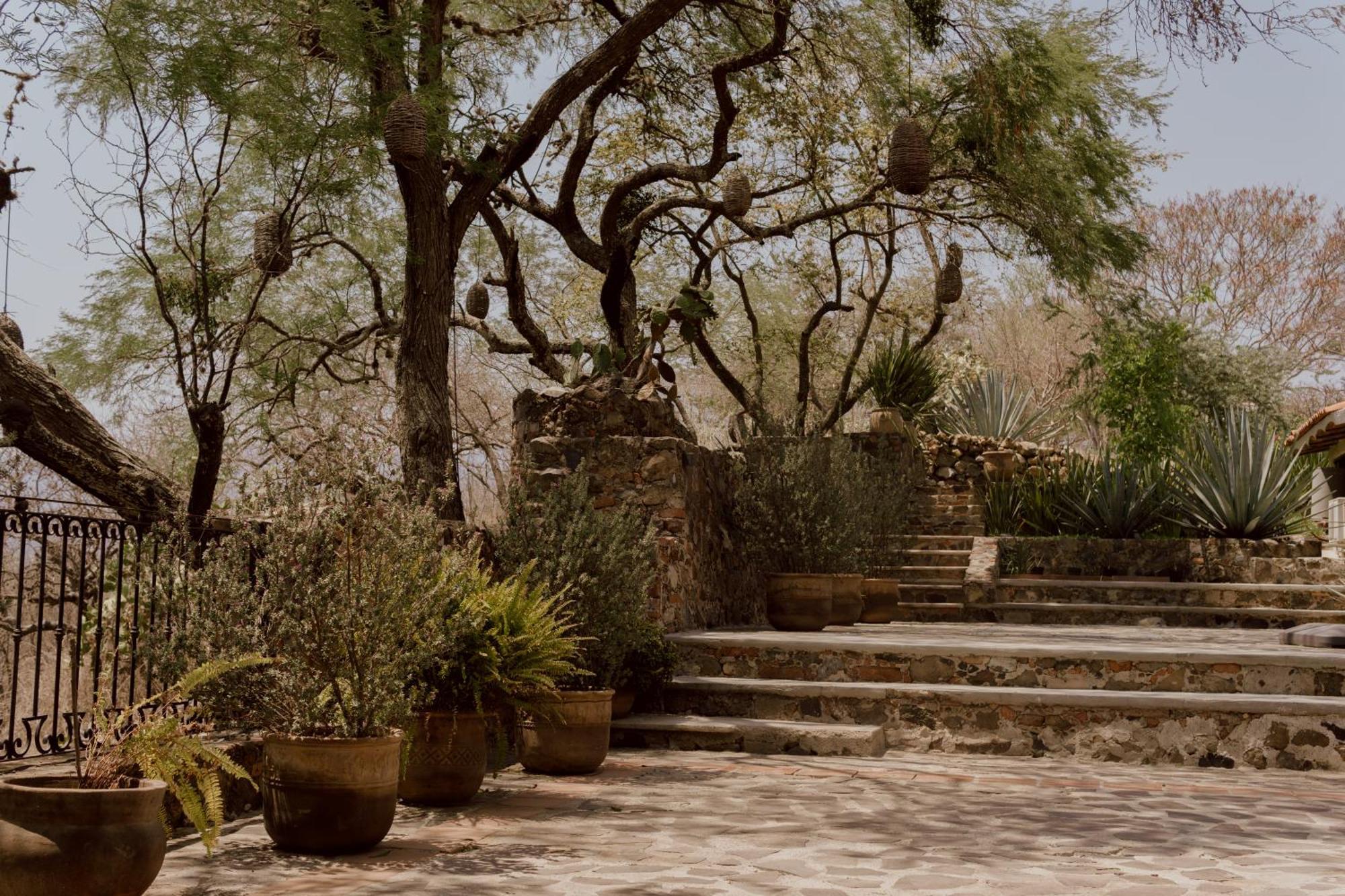 Hacienda San Nicolas De Las Fuentes Teuchitlán Eksteriør bilde