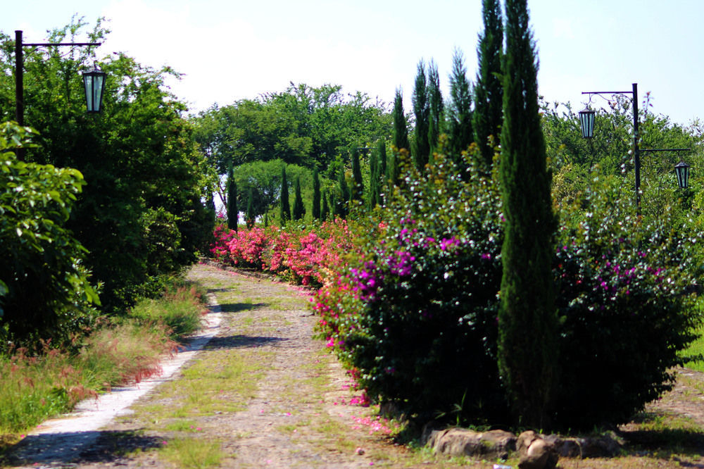 Hacienda San Nicolas De Las Fuentes Teuchitlán Eksteriør bilde