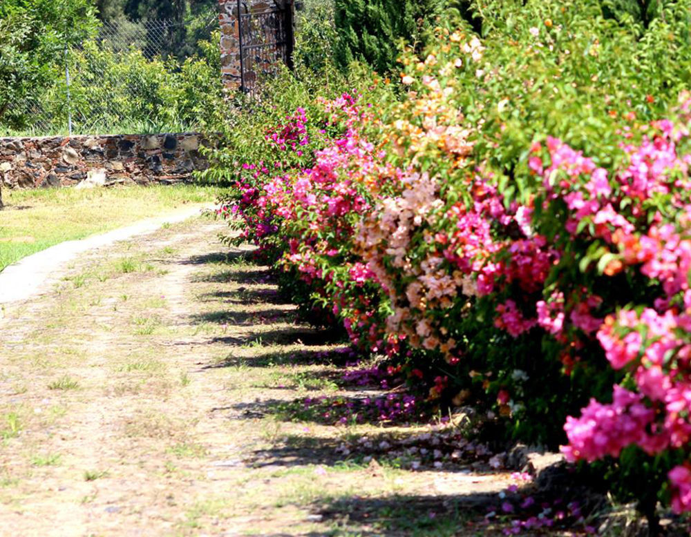 Hacienda San Nicolas De Las Fuentes Teuchitlán Eksteriør bilde